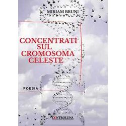 Concentrati Sul Cromosoma Celeste Concentrati Sul Cromosoma Celeste
