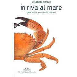 In Riva Al Mare. Guida Pratica Per Esploratori Di Litorali In Riva Al Mare. Guida Pratica Per Esploratori Di Litorali