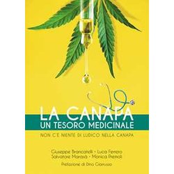La Canapa. Un Tesoro Medicinale. Non C'è Niente Di Ludico Nella Canapa La Canapa. Un Tesoro Medicinale. Non C'è Niente Di Ludico Nella Canapa