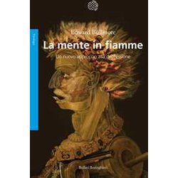 La Mente In Fiamme. Un Nuovo Approccio Alla Depressione