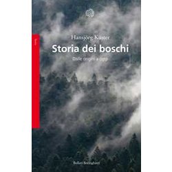 Storia Dei Boschi. Dalle Origini A Oggi Storia Dei Boschi. Dalle Origini A Oggi