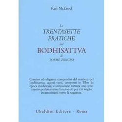 Le «Trentasette Pratiche Del Bodhisattva» Di Tokmé Zongpo Le «Trentasette Pratiche Del Bodhisattva» Di Tokmé Zongpo
