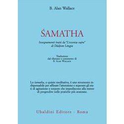 Samatha. Insegnamenti Tratti Da «L'essenza Vajra» Di DüDjom Lingpa