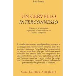 Un Cervello Interconnesso. L'intreccio Di Percezione, Cognizione Ed Emozione In Un Sistema Complesso
