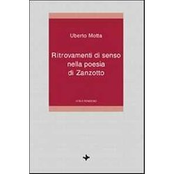 Ritrovamenti Di Senso Nella Poesia Di Zanzotto Ritrovamenti Di Senso Nella Poesia Di Zanzotto