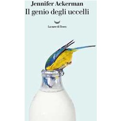 Il Genio Degli Uccelli Il Genio Degli Uccelli