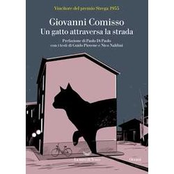 Un Gatto Attraversa La Strada Un Gatto Attraversa La Strada