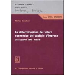 La Determinazione Del Valore Economico Del Capitale D'impresa. Uno Sguardo Oltre I Metodi La Determinazione Del Valore Economico Del Capitale D'impresa. Uno Sguardo Oltre I Metodi