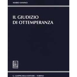 Il Giudizio Di Ottemperanza Il Giudizio Di Ottemperanza