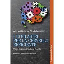 I 10 Pilastri Per Un Cervello Efficiente. Come Migliorare Le Abilità Mentali