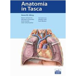 Anatomia In Tasca