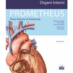 Prometheus. Testo Atlante Di Anatomia. Organi Interni Prometheus. Testo Atlante Di Anatomia. Organi Interni