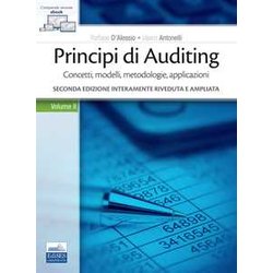 Principi Di Auditing. Concetti, Modelli, Metodologie, Applicazioni (Vol. 2)