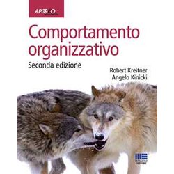 Comportamento Organizzativo Comportamento Organizzativo