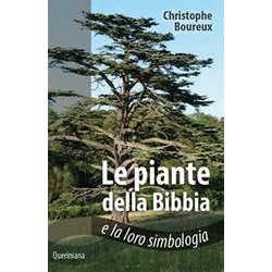 Piante Della Bibbia E La Loro Simbologia