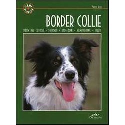 Border Collie Border Collie