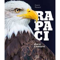 Rapaci Diurni E Notturni Rapaci Diurni E Notturni