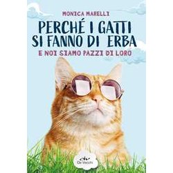Perché i gatti si fanno di erba e noi siamo pazzi di loro