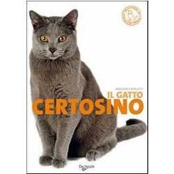 Il Gatto Certosino Il Gatto Certosino