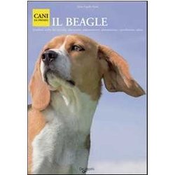 Beagle Beagle