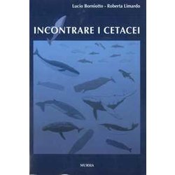 Incontrare I Cetacei Incontrare I Cetacei