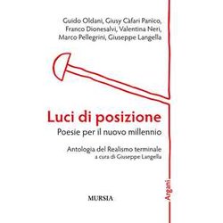 Luci Di Posizione. Poesie Per Il Nuovo Millennio: Antologia Del Realismo Terminale Luci Di Posizione. Poesie Per Il Nuovo Millennio: Antologia Del Realismo Terminale