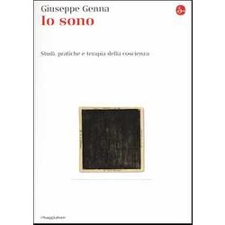 Io Sono. Studi, Pratiche E Terapia Della Coscienza