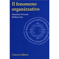 Il Fenomeno Organizzativo Il Fenomeno Organizzativo