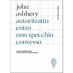 Autoritratto Entro Uno Specchio Convesso