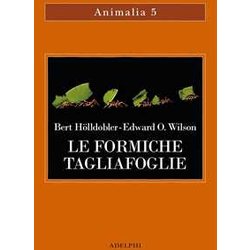 Le Formiche Tagliafoglie. La Conquista Della Civiltà Attraverso L'istinto