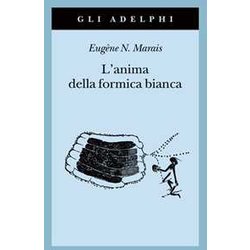 L'anima Della Formica Bianca L'anima Della Formica Bianca