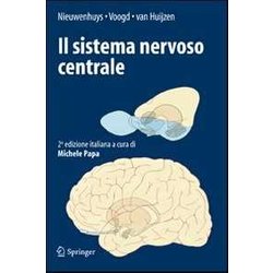 Il Sistema Nervoso Centrale Il Sistema Nervoso Centrale