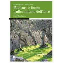 Potatura E Forme Di Allevamento Dell'olivo Potatura E Forme Di Allevamento Dell'olivo