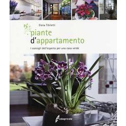 Piante D'appartamento. I Consigli Dell'esperto Per Una Casa Verde Piante D'appartamento. I Consigli Dell'esperto Per Una Casa Verde