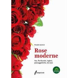 Rose Moderne. Tea, Floribunde, Inglesi, Paesaggistiche, Da Vaso Rose Moderne. Tea, Floribunde, Inglesi, Paesaggistiche, Da Vaso