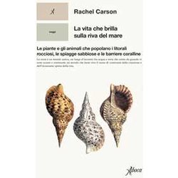 La Vita Che Brilla Sulla Riva Del Mare. Le Piante E Gli Animali Che Popolano I Litorali Rocciosi, Le Spiagge Sabbiose E Le Barriere Coralline La Vita Che Brilla Sulla Riva Del Mare. Le Piante E Gli Animali Che Popolano I Litorali Rocciosi, Le Spiagge Sabbiose E Le Barriere Coralline