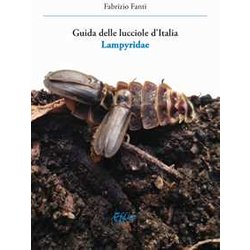 Guida Delle Lucciole D'italia Lampyridae Guida Delle Lucciole D'italia Lampyridae