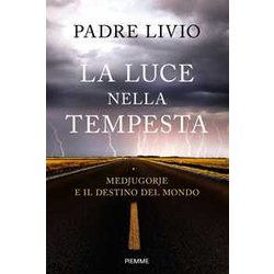 La Luce Nella Tempesta. Medjugorje E Il Destino Del Mondo
