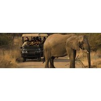 Afrikaans Voor Beginners van Laudius