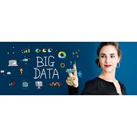 Big Data van Laudius