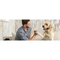 Alles Over Honden van Laudius