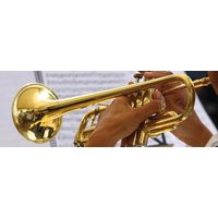 Muziek & Notenschrift van Laudius