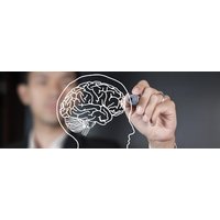Neuromarketing van Laudius