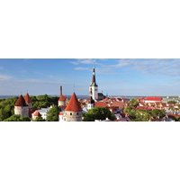 Estisch Voor Beginners van Laudius