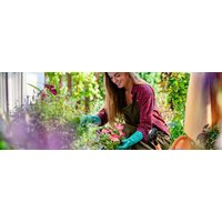 Tuinieren van Laudius