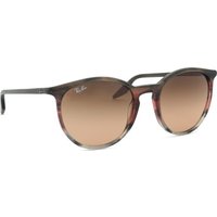 Ray-Ban RB2204 13953B Men's Sunglasses Brown Size 51