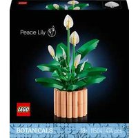 LEGO Botanicals (11504). Spatifillo