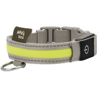 Lidl 40% sur le collier LED pour chien Max Mila's World