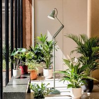 Anglepoise 33114 Original 1227 Floor Lamp National Trust Edition Sage Green