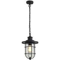 Haworth 1 Light Exterior Ceiling Pendant In Black And Gold With Clear Glass